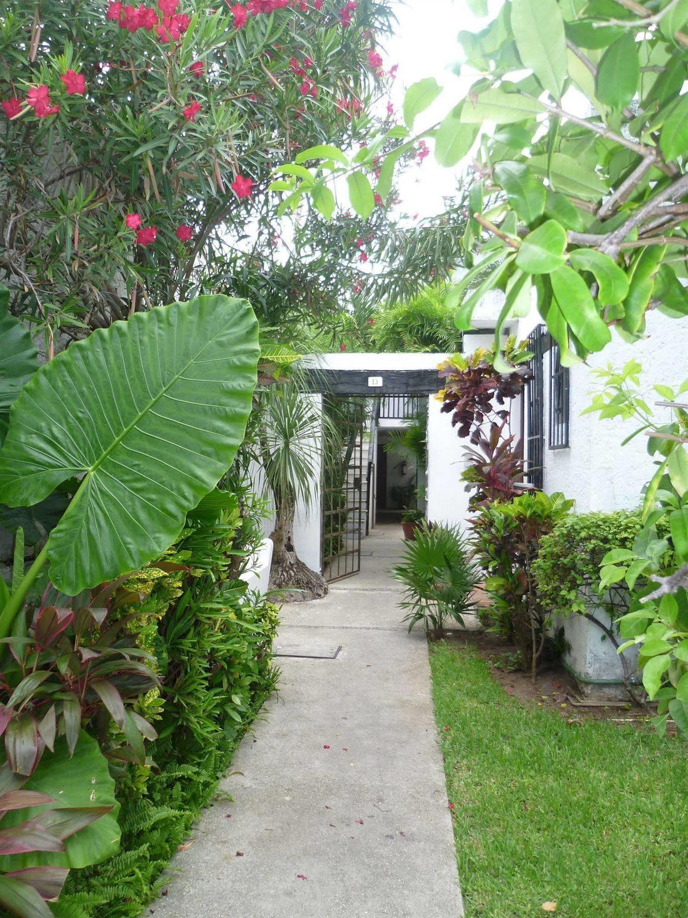 קנקון Hostal Haina מראה חיצוני תמונה