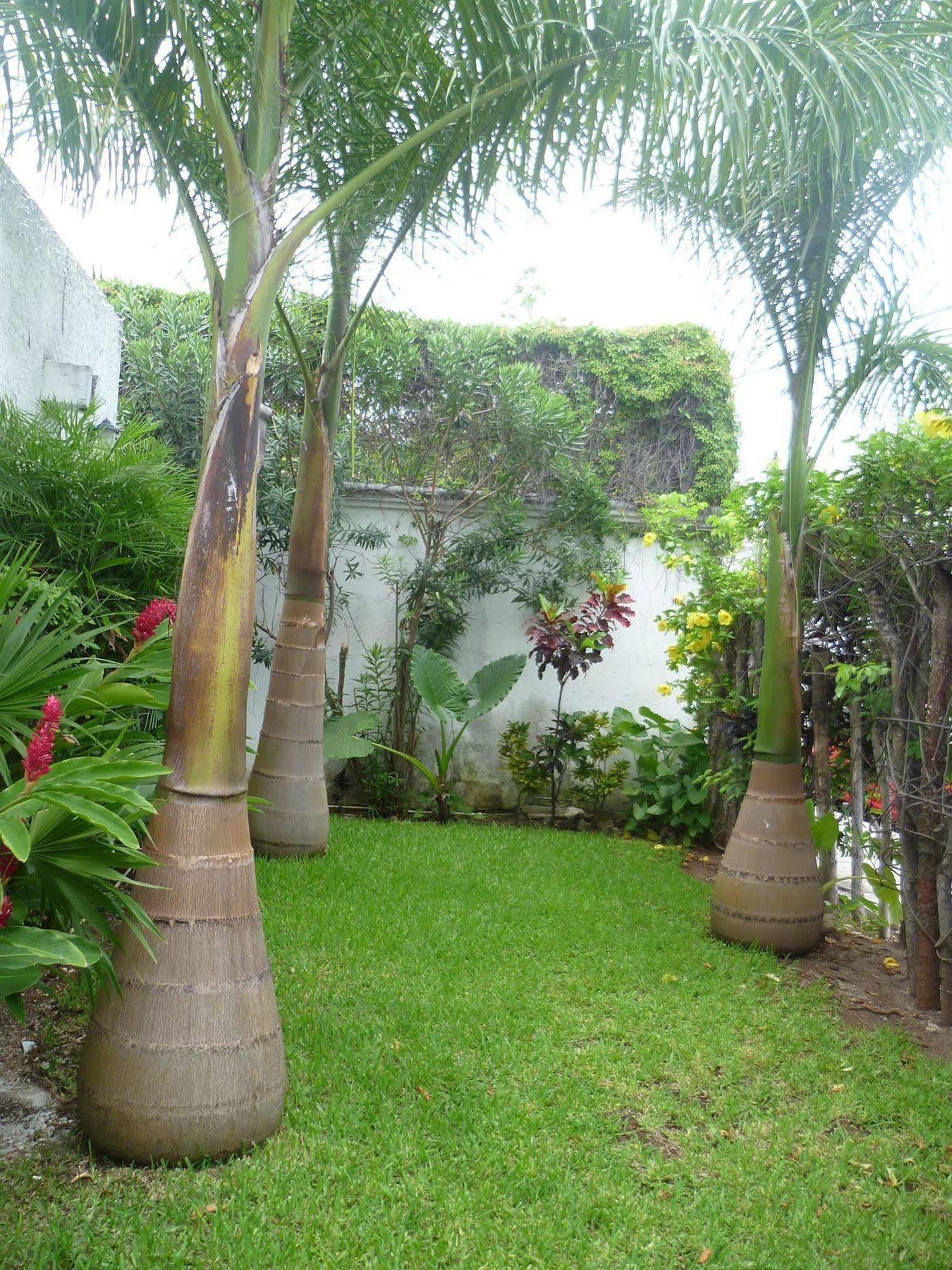 קנקון Hostal Haina מראה חיצוני תמונה